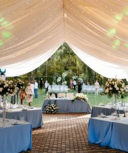 home-page-thumbnail-1-img